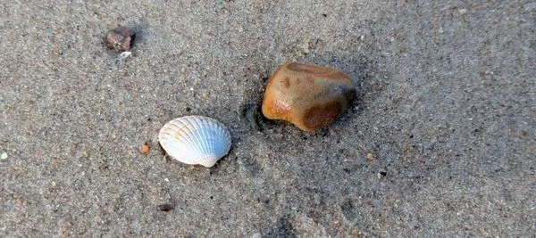 Mentoring vs. Coaching — Was ist der Unterschied?