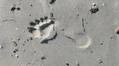 Titelbild: Gehmeditation — Für alle, die nicht stillsitzen können