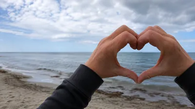 Titelbild: Metta – Meditation der liebenden Güte